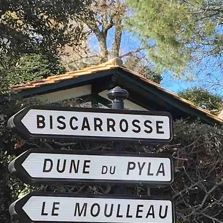 La Cigale Du Pyla, Au Coeur De L'ecoquartier Avec Piscine Commune